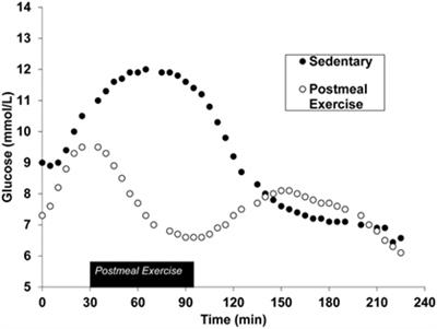 Exercise after You Eat: Hitting the Postprandial Glucose Target